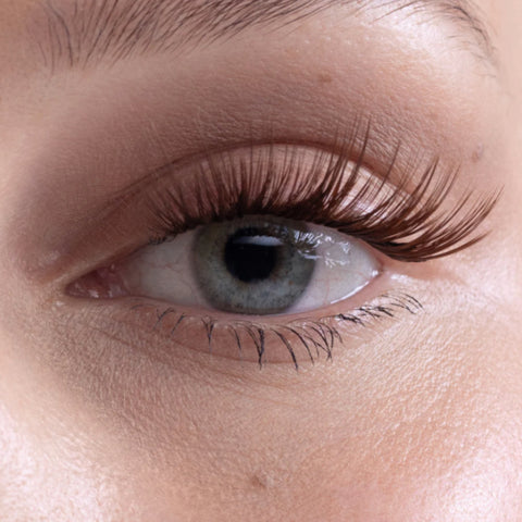 Brown Lashes