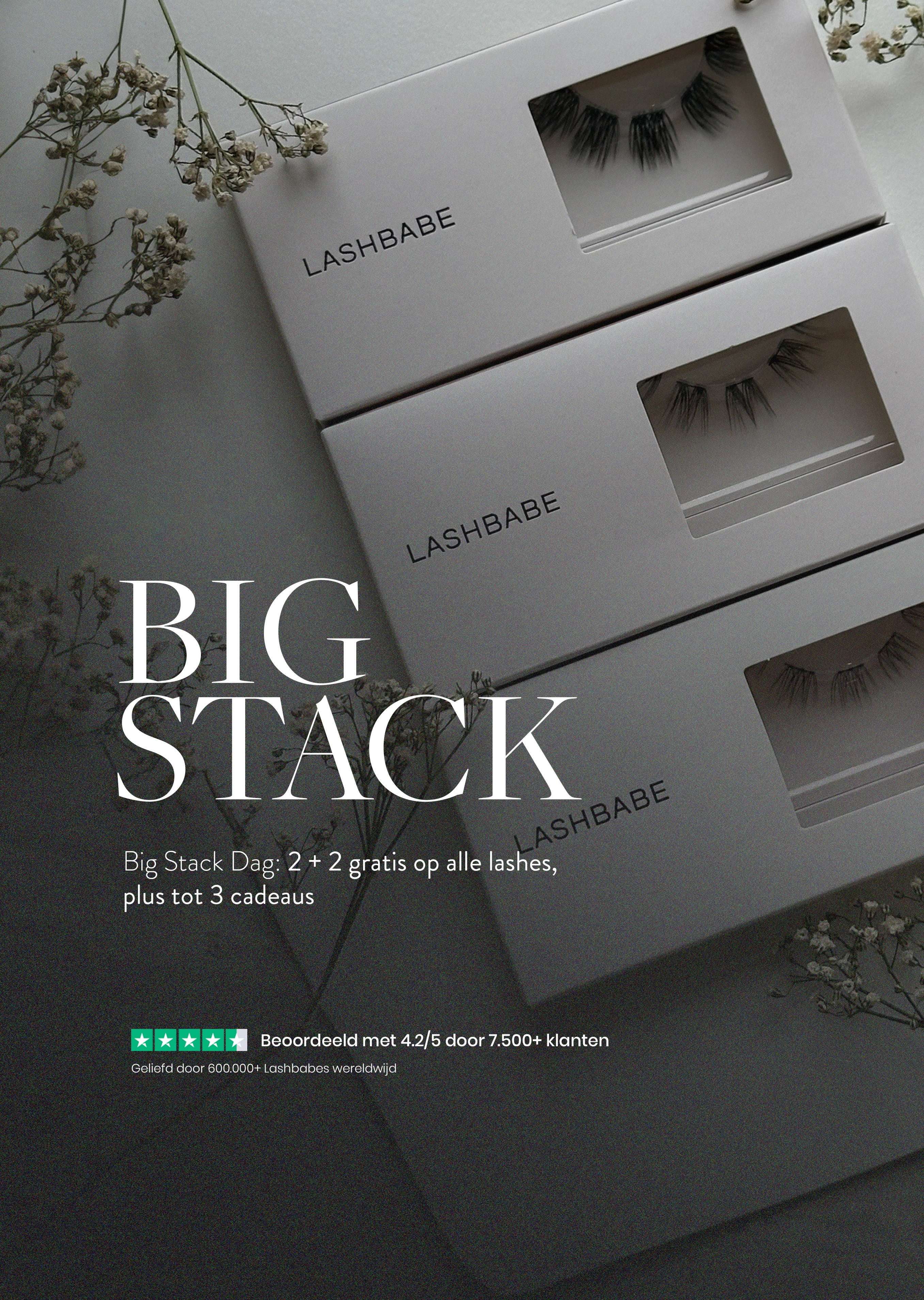 BIG STACK 2+2