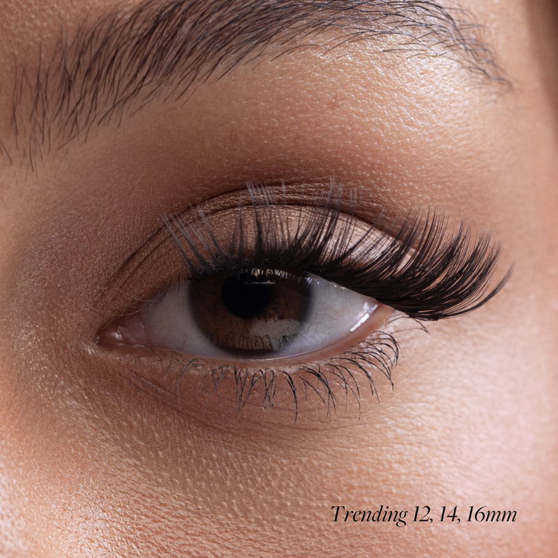 Fast Lash Cluster Starter Kit