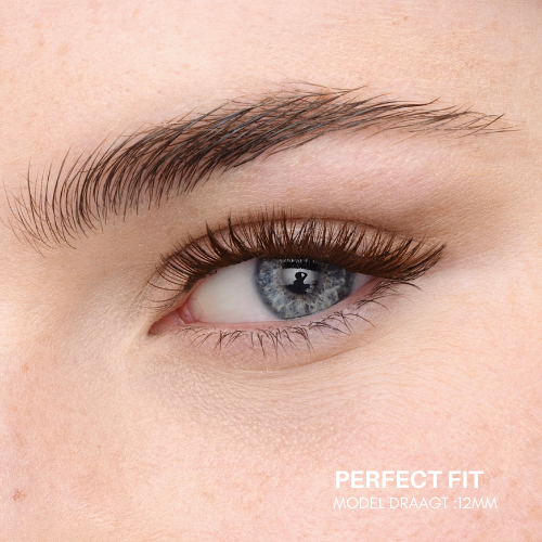 PERFECT FIT - Fast Lashes (Brown Collection)