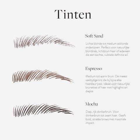 Full Brow Starter Kit