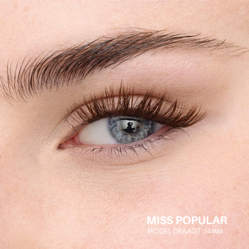 MISS POPULAR - Custom Fast Lashes (Brown Collection)
