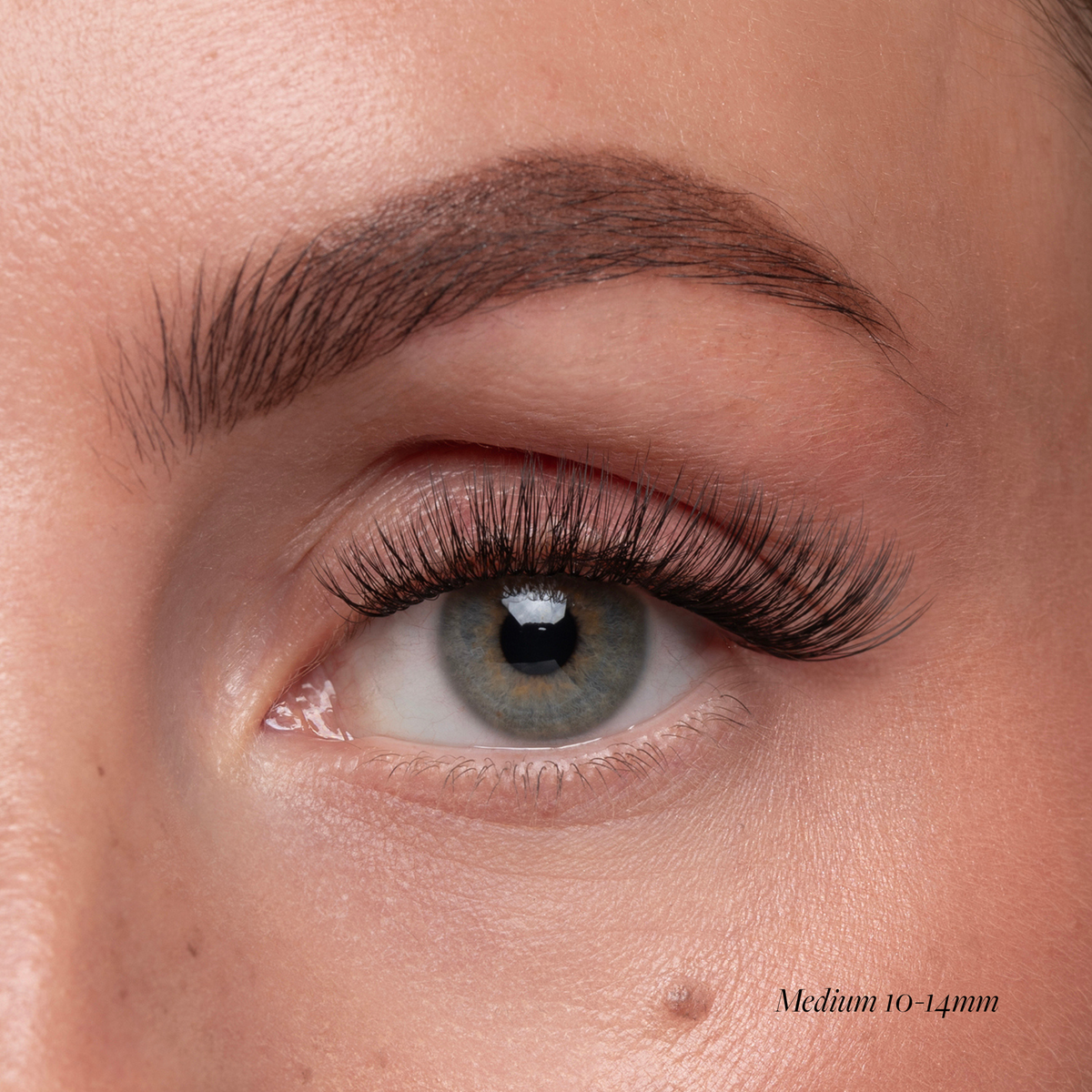 Lash Vitamins - Pre-Glued Fast Lash