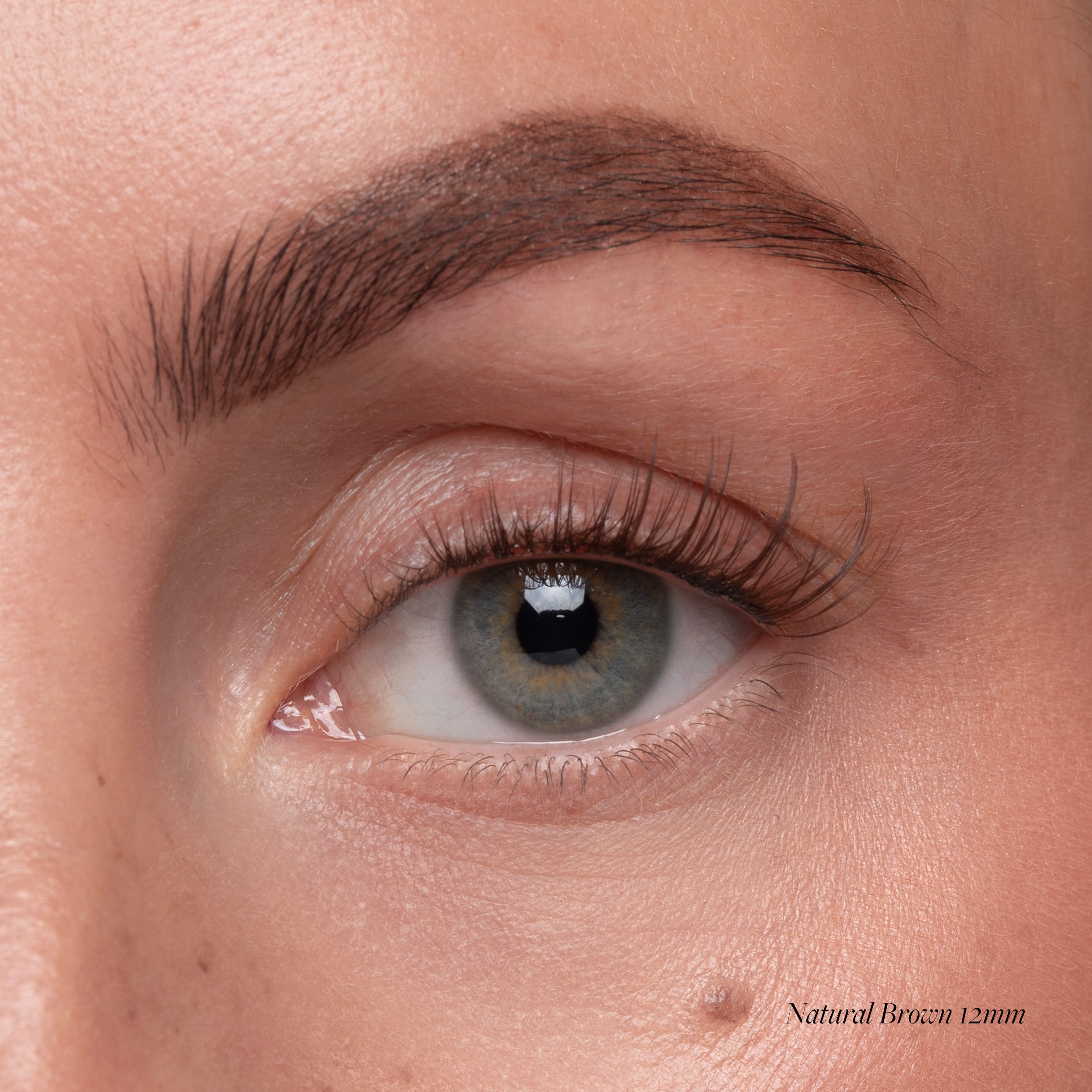 Natural Brown