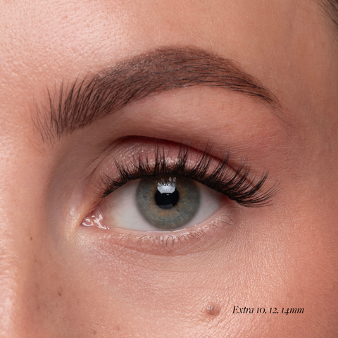 Lash Vitamins - Pre-Glued Cluster Lash Caffeine Pep Effect Starter Kit