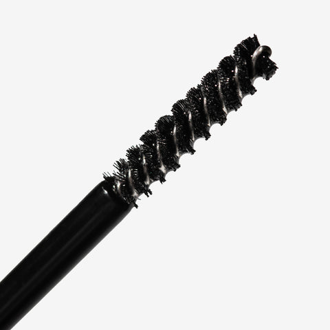 Brow Renewal Ritual – AM/PM Duo