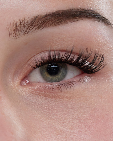 CATEYE - Layer Holiday pack