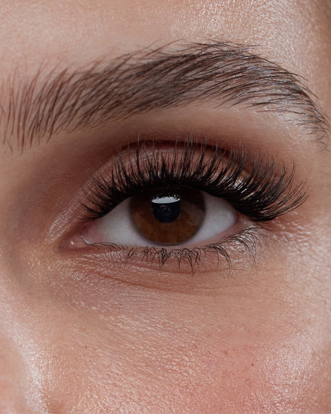 CATEYE - Layer Holiday pack
