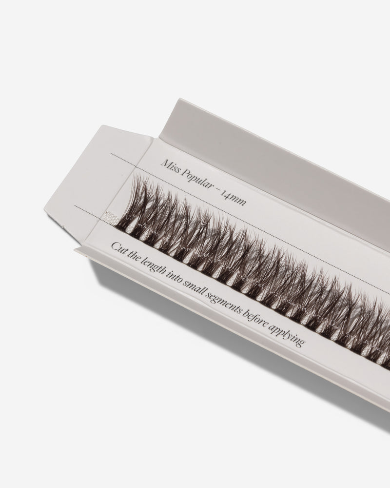 MISS POPULAR - Custom Fast Lashes (Brown Collection)