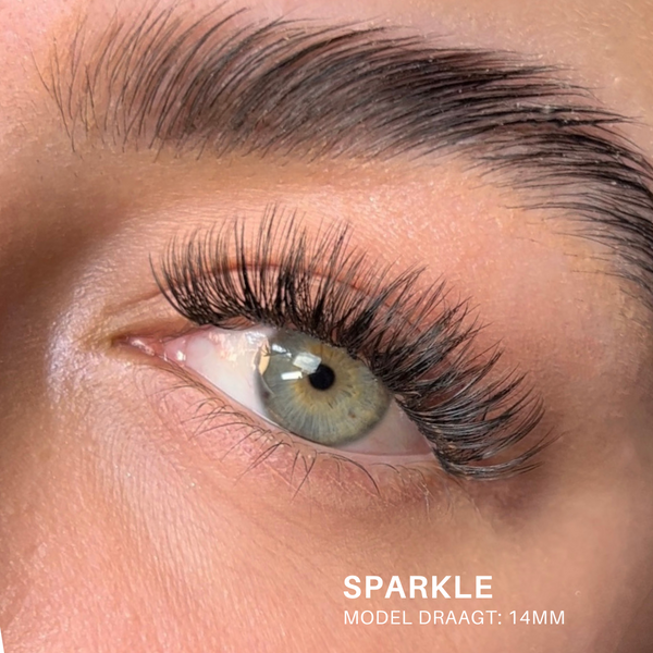 SPARKLE - Holiday Fast Lashes